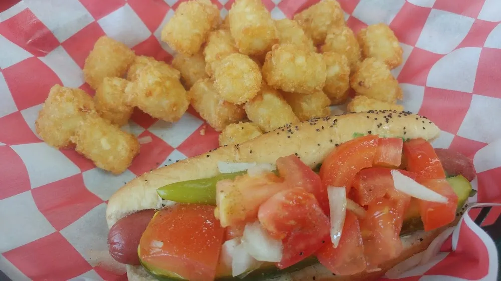 Chicago Style Hot Dog